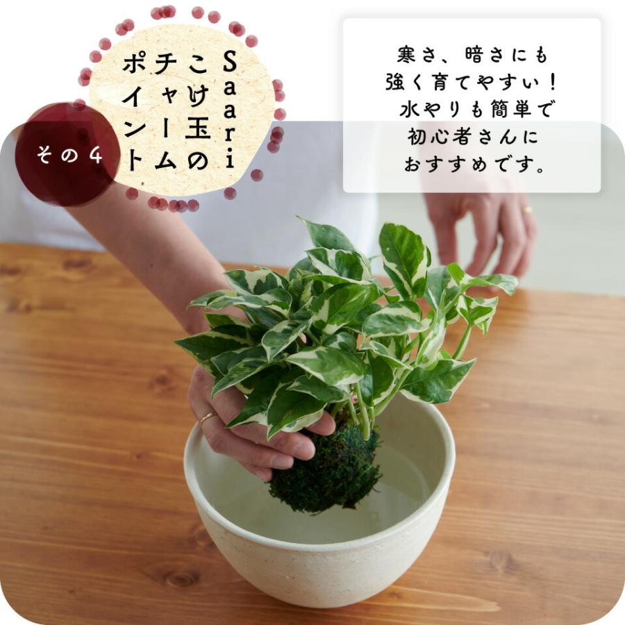 観葉植物 小さい 吊り下げ 鉢 おしゃれ ハンギング ポトス 苔玉 ミニ コケ玉 こけだま Saari 棚 北欧 開店祝 新築祝 引っ越し祝 コテラ Ktr005sar Koteraヤフー店 通販 Yahoo ショッピング