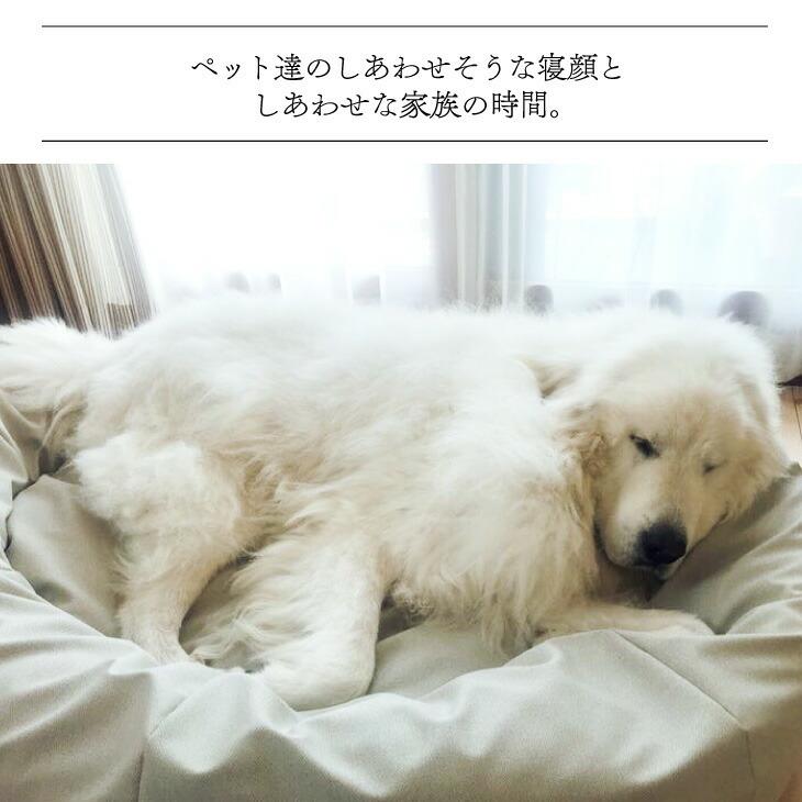 ペットベッドLLサイズ 犬 暖かい ビーズクッション 国産合皮レザー 汚れ 超大型犬 わた 犬 ネコ 安心 ビーズ・わた補充可能 カバー 日本製 コテラ 犬