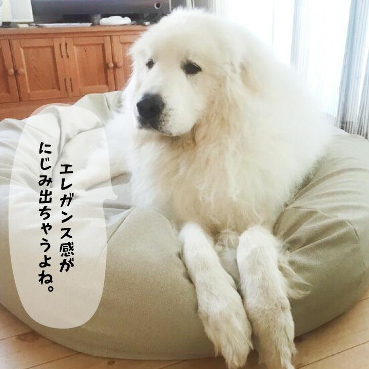 ペットベッドLLサイズ 犬 暖かい ビーズクッション 国産合皮レザー 汚れ 超大型犬 わた 犬 ネコ 安心 ビーズ・わた補充可能 カバー 日本製 コテラ 犬