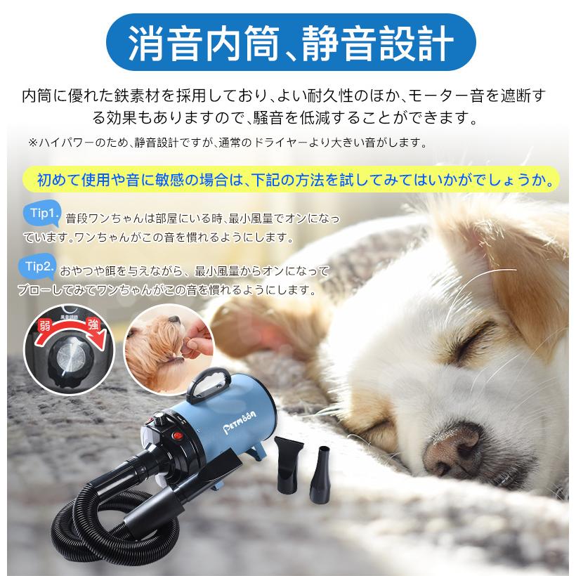 Petmoon ペットドライヤー 1年保証！業務用 犬 ペットヘアードライヤー ペット用ドライヤー 3つノズル付き  強いブロー力 急速乾燥 騒音低減 犬用｜kotetsu0515｜06