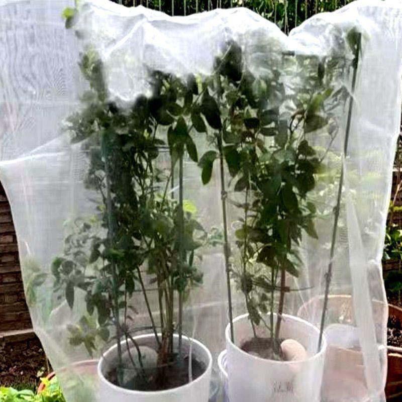 植物防虫ネット 1mm目1m*1.5m 2枚入り 袋 野菜網 園芸野菜栽培 植物防虫ネット 1mm目1m*1.5m 2枚入り 袋 野菜網 園芸野菜栽培