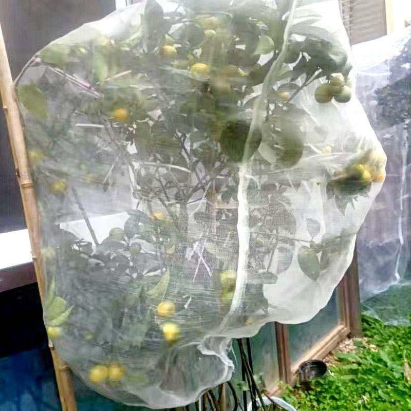 植物防虫ネット 1mm目1m*1.5m 2枚入り 袋 野菜網 園芸野菜栽培 植物防虫ネット 1mm目1m*1.5m 2枚入り 袋 野菜網 園芸野菜栽培