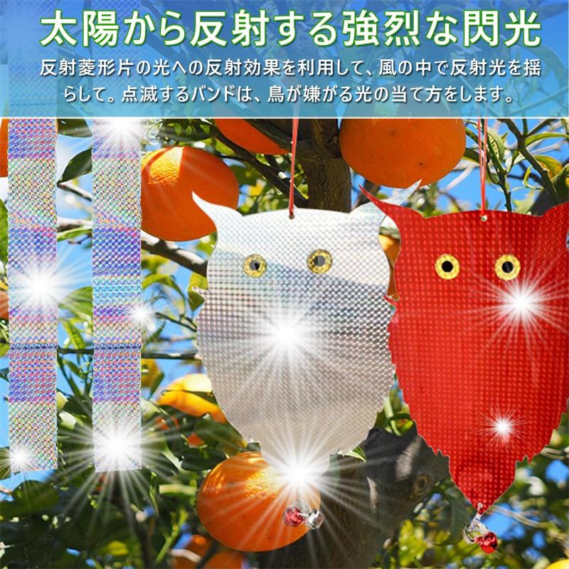 未使用　鳥よけ 鳩よけ フクロウ反射板　畑　農作物 Amazon.co.jp: 鳥よけ 鳩よけ カラスよけ 防鳥反射板 駆鳥反射板