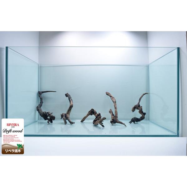 リベラ ウッドナローM 流木 1個 ※アクぬき処理済み 約20〜40cm : 有限