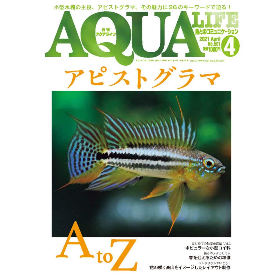 アクアライフ 21年4月号 アピストグラマ A To Z 有限会社高知熱帯魚サービス 通販 Yahoo ショッピング