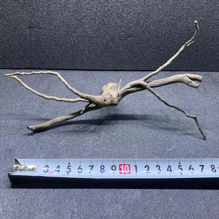 流木 空洞型バニヤン盆栽流木 水槽レイアウト【職人技】 枝流木（020）