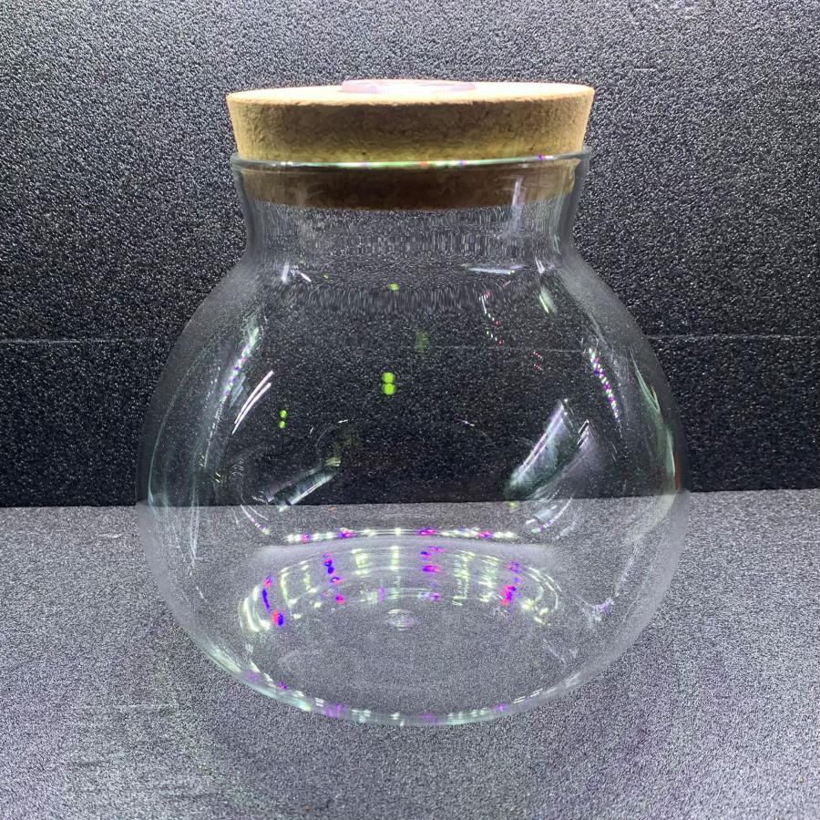 テラリウムボトル Mサイズ コルク蓋&LEDライト付き 1点 コケリウム