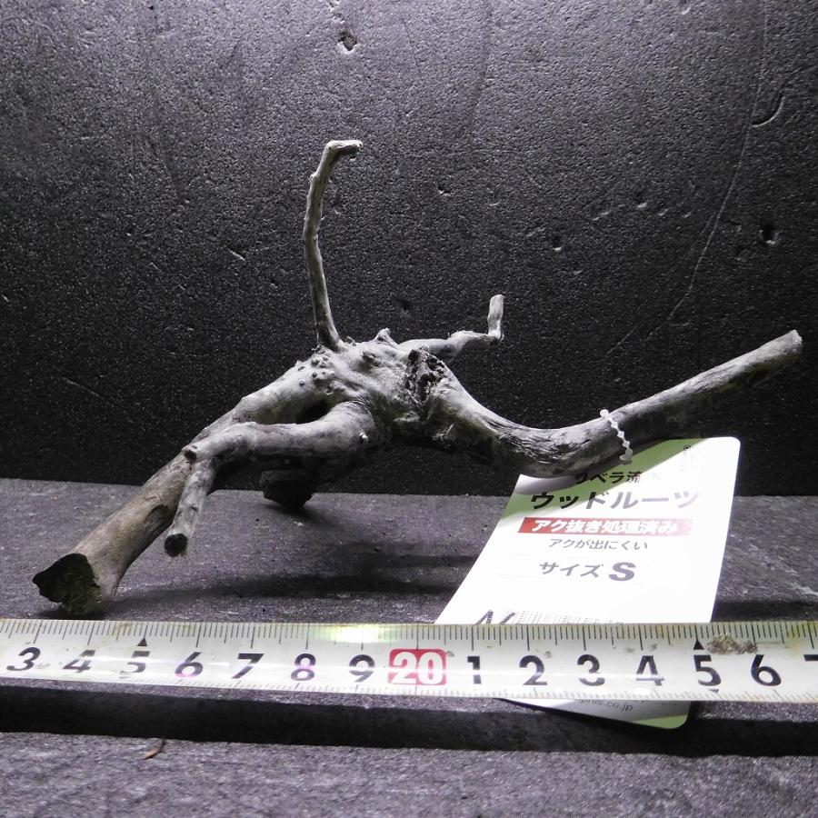 枝流木 リベラ ウッドルーツS 1点物 No.145 天然 デルフィス アク抜き