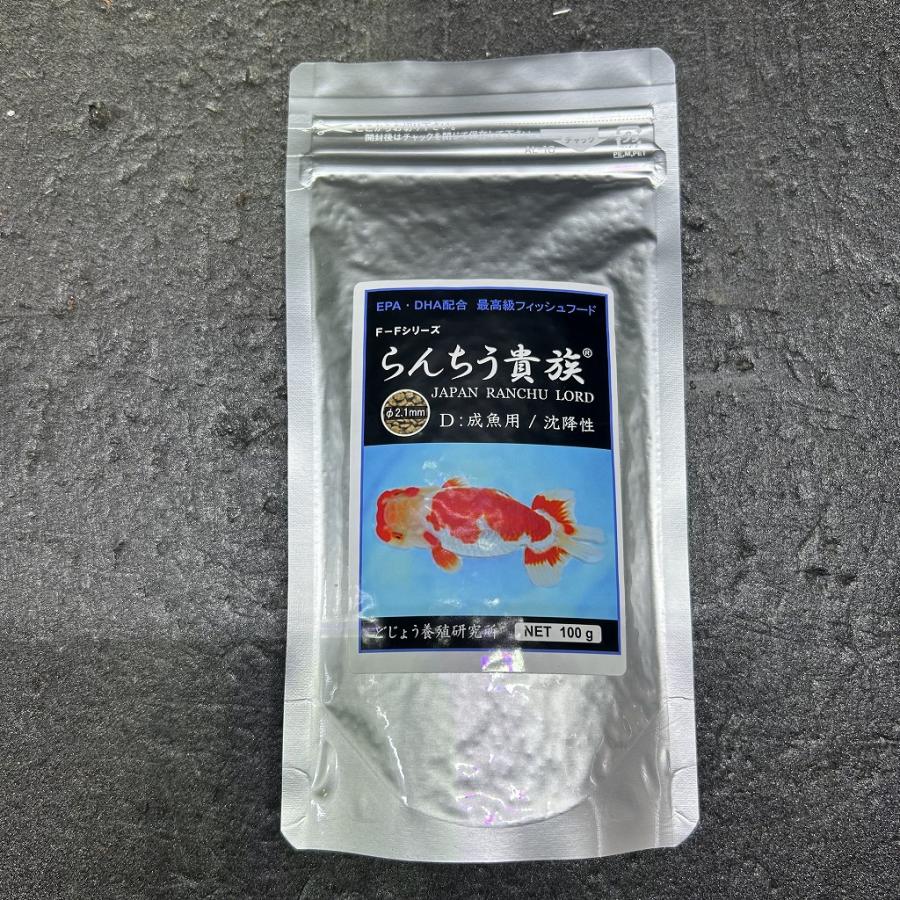 現品【沖縄産】リュウビンタイ8号　株元20センチ超え カワサキ Ninja ZX－14R A1430 東南アジア仕様