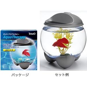 テトラ (Tetra) アクアセラピー : 有限会社高知熱帯魚サービス - 通販