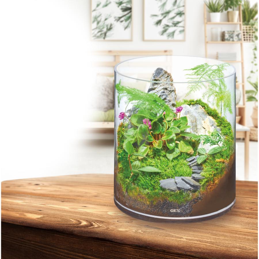 GEX グラスアクアリウム シリンダー ボトルアクアリウム : 有限会社