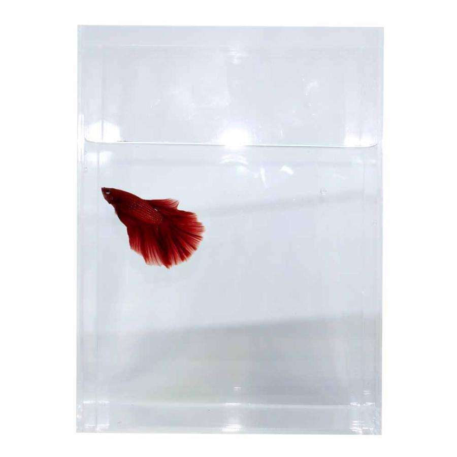 松*崇様 特注中古アクリル水槽 900×200×200 中古90cmアクリル水槽セット | AQUAHYSのブログ