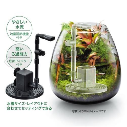 ピカピカ 🌚痛痛車🌚 👷‍♂️ロードサービス👷‍♂️⭕️しばし不動
