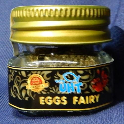 Eggs Fairy ホウネンエビの卵 H H3 031 有限会社高知熱帯魚サービス 通販 Yahoo ショッピング