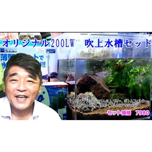 オリジナル0lw 吹上水槽セット H H5 040 有限会社高知熱帯魚サービス 通販 Yahoo ショッピング
