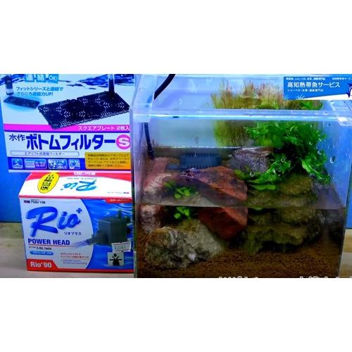 オリジナル0lw 吹上水槽セット H H5 040 有限会社高知熱帯魚サービス 通販 Yahoo ショッピング