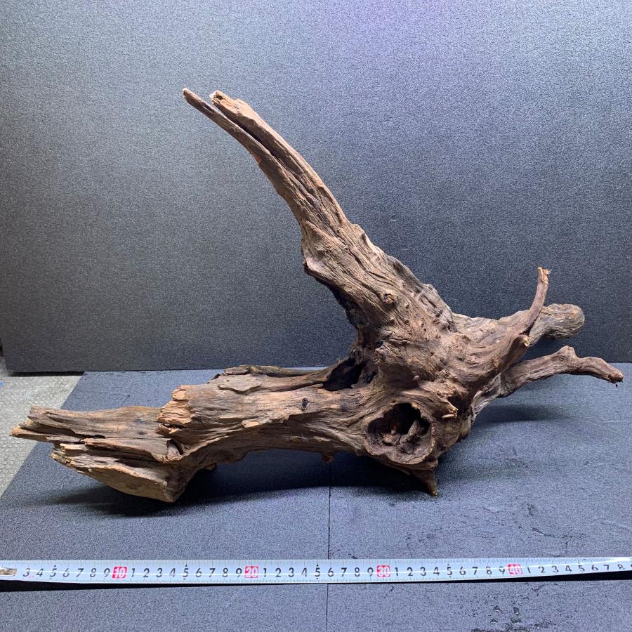 専用品 大型流木 アク抜き済み 大型流木(60cm) アク抜き済み 天然流木のアク抜き 60g