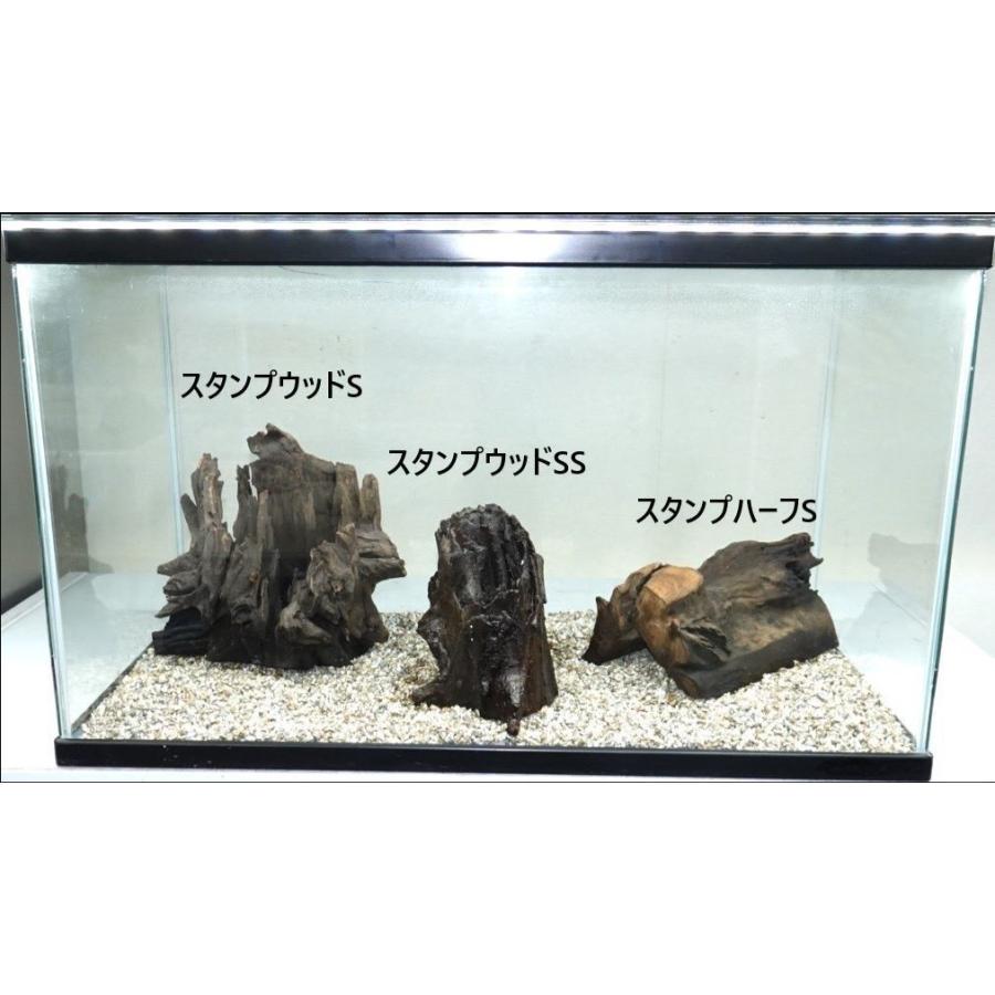 ソネケミファ スタンプウッドSS 流木 1個 ※形状指定不可 形は来