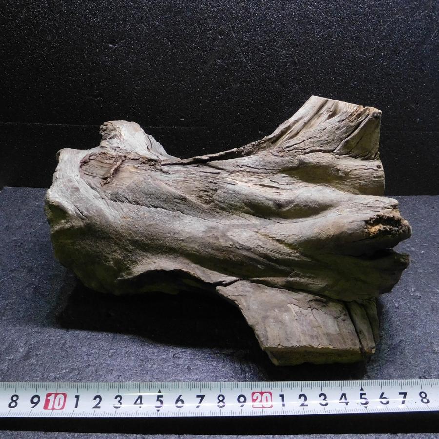 流木 スタンプウッドS ハーフウッド 1点物 SW0911-002 天然