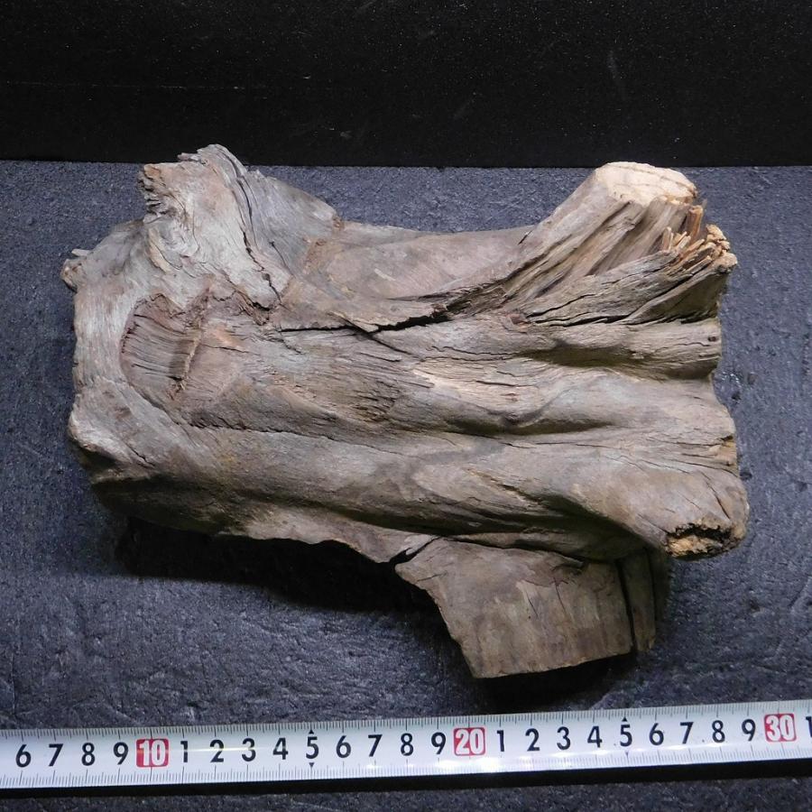 流木 スタンプウッドS ハーフウッド 1点物 SW0911-002 天然