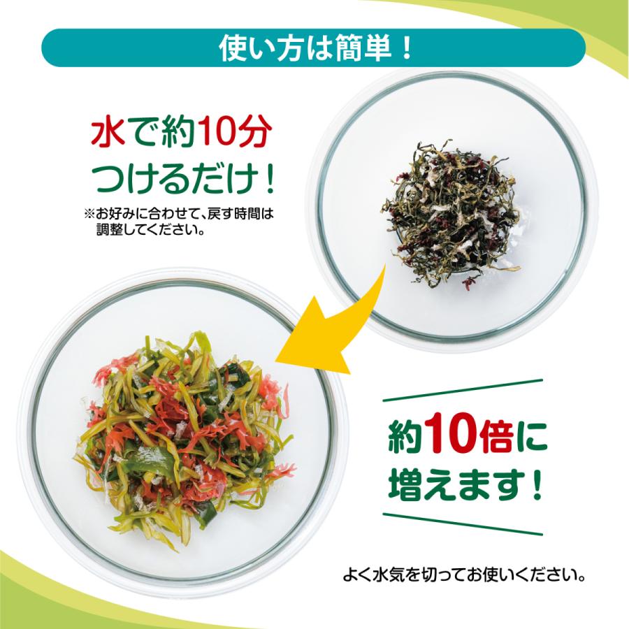 国産わかめの海藻サラダ 100g 乾燥 鳴門産乾燥わかめ使用 国産 原料： カットわかめ（鳴門） 茎わかめ 刻み昆布 赤かえでのり 青かえでのり 糸寒天 チャック袋｜kotobuki-online｜05