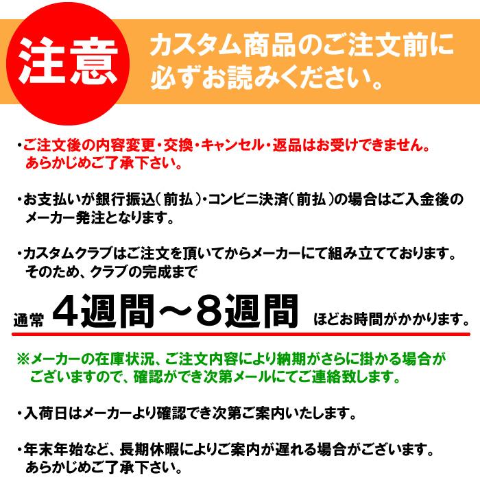 (2024 レフティモデル カスタム)ブリヂストン BRIDGESTONE 242CB+ アイアン6本セット(#5-PW)スチールシャフト/Dynamic Gold HT(2024年11月8日発売)_12