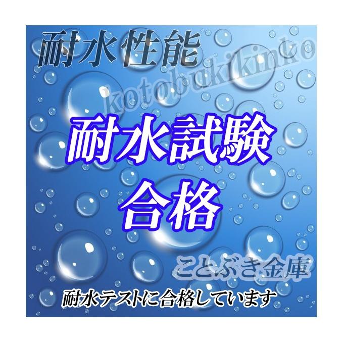 金庫 小型 家庭用 耐水 業務用 テンキー式 暗証番号 耐火金庫 安い おしゃれ おすすめ 119EN88WR ディプロマット 防犯｜kotobukikinko｜05