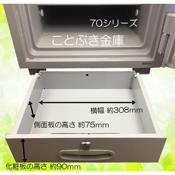 ダイヤセーフ（Diamond Safe） 金庫 業務用 ダイヤル式 耐火金庫 D70