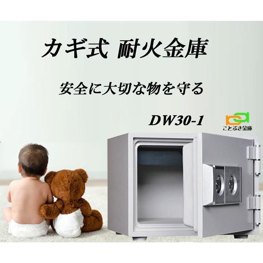ダイヤセーフ 金庫 小型 家庭用 カギ式 耐火金庫 DW30-1 ダイヤセーフ 金庫 小型 家庭用 カギ式 耐火金庫 DW30-1