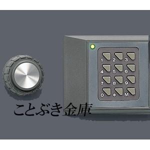 KS-20EA 日本アイエスケイ 日本製 金庫 小型 家庭用 テンキー式