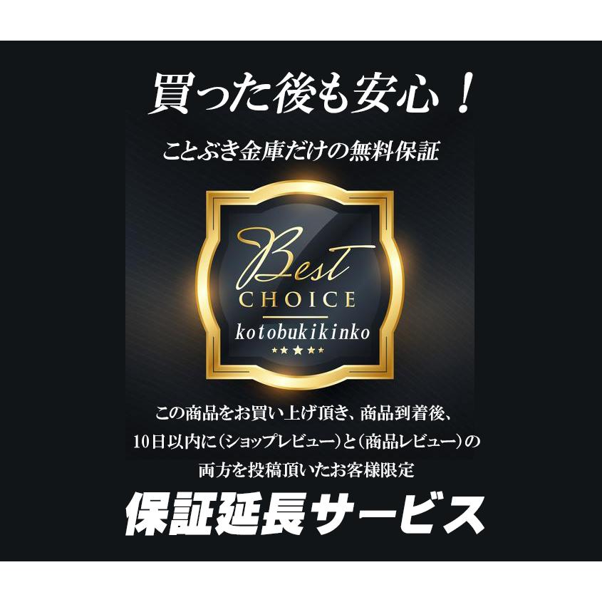 P79E (送料込み 設置も無料) 土日祝日も配達可能 金庫 業務用 テンキー式 投入式 耐火金庫 ダイヤセーフ ダイヤモンドセーフ 投入金庫 投入庫 1時間耐火_10