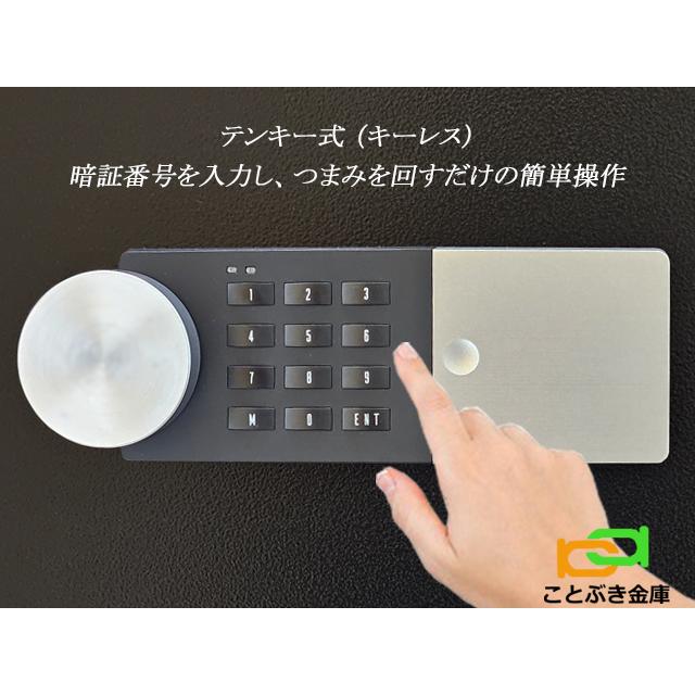 ダイヤセーフ 金庫 家庭用 テンキー式 耐火金庫 ZE52-1 安い ダイヤセーフ 金庫 家庭用 テンキー式 耐火金庫 ZE52-1 安い
