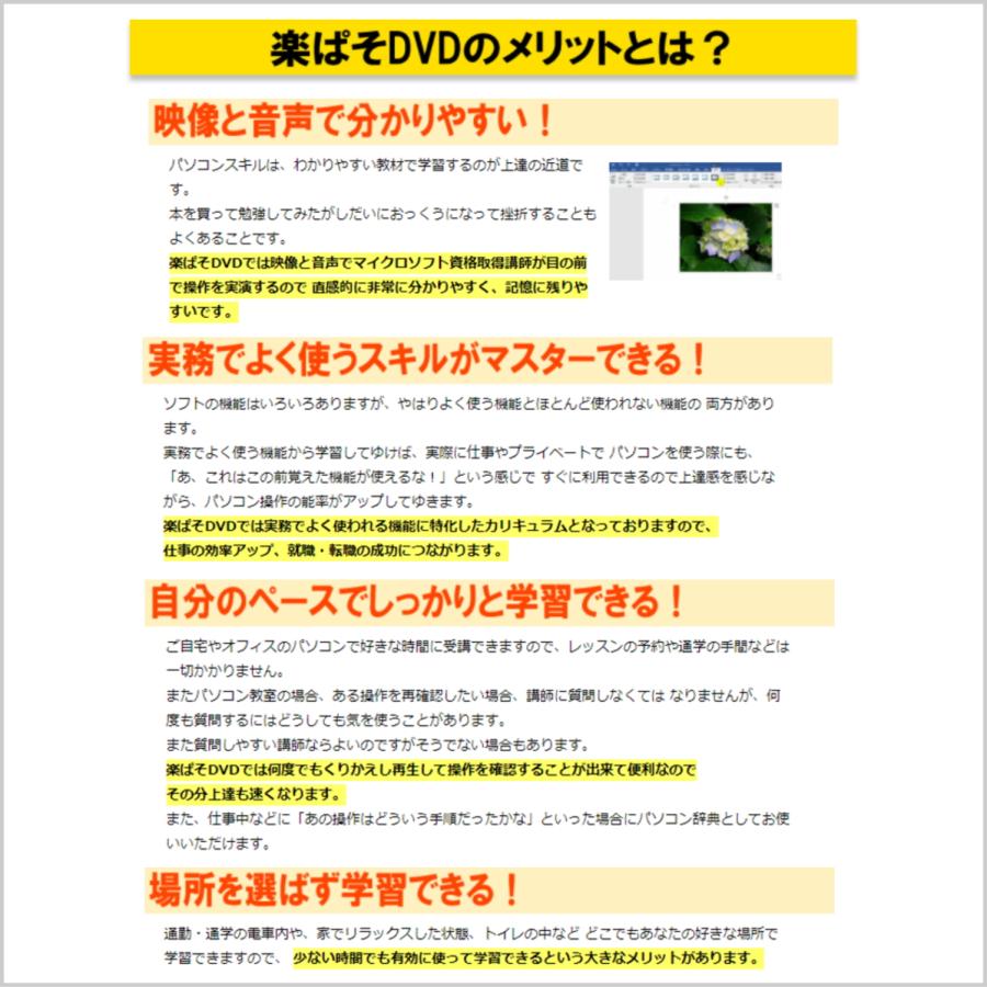動画パソコン教室【エクセルExcel・マクロVBA】プログラミング エクセルマクロ・VBAが基礎から学べる！ 動画パソコン教室『楽ぱそDVD