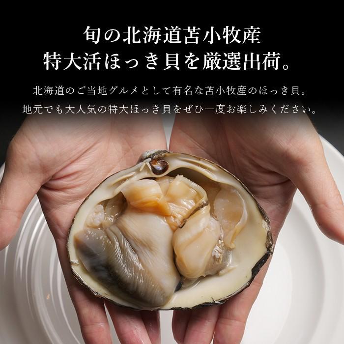活ほっき貝 超特大 お刺身 1kgセット 殻付 冷蔵 北海道産 オホーツク海 ホッキ 北寄 Hokki 1kg 毛ガニの寿水産 通販 Yahoo ショッピング