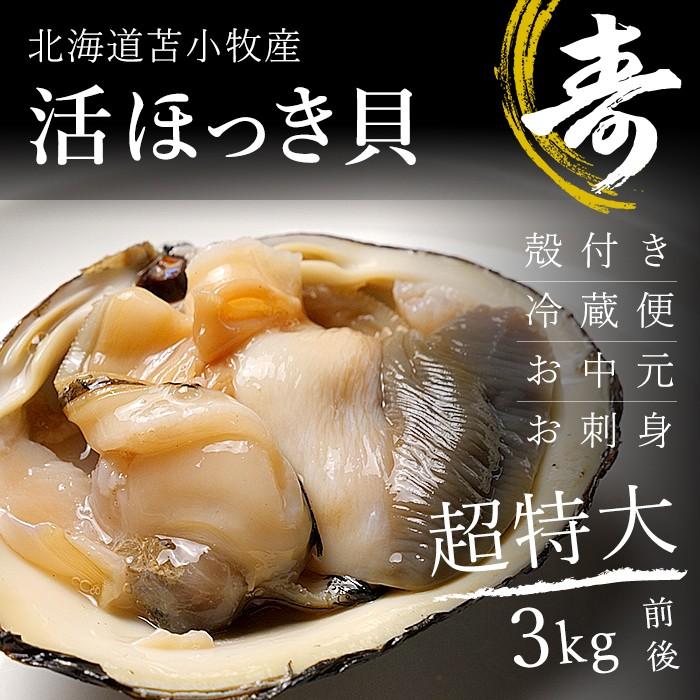 活ほっき貝 超特大 お刺身 3kgセット 殻付 冷蔵 北海道産 オホーツク海 ホッキ 北寄 Hokki 3kg 毛ガニの寿水産 通販 Yahoo ショッピング