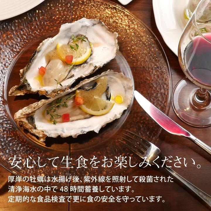 牡蠣 殻付き 北海道 厚岸 冷蔵 マルえもん 3L 10個セット 生食可 未冷凍 :kaki-maruemon-10:毛ガニの寿水産 - 通販 - Yahoo!ショッピング 牡蠣 殻付き 北海道 厚岸 冷蔵 マルえもん 3L 10個セット 生食可 未冷凍 :kaki-maruemon-10:毛ガニの寿水産 - 通販 - Yahoo!ショッピング