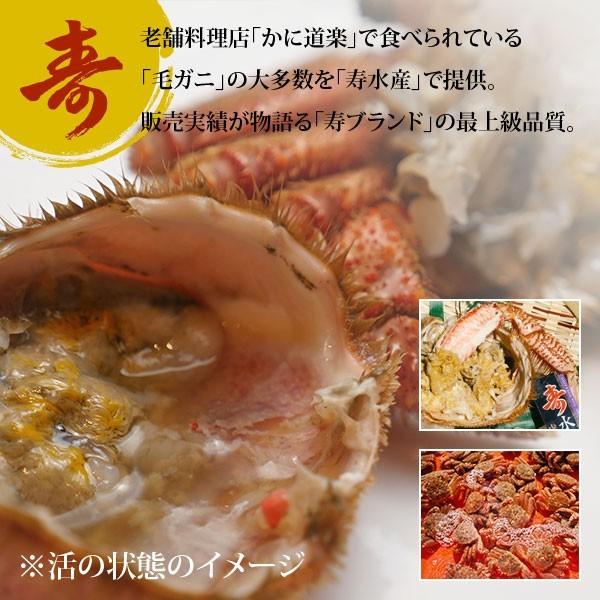 活き毛ガニ 北海道産 カニ 400g前後 毛蟹 毛がに 姿 活茹で選択 活き毛ガニ 北海道産 カニ 400g前後 毛蟹 毛がに 姿 活茹で選択