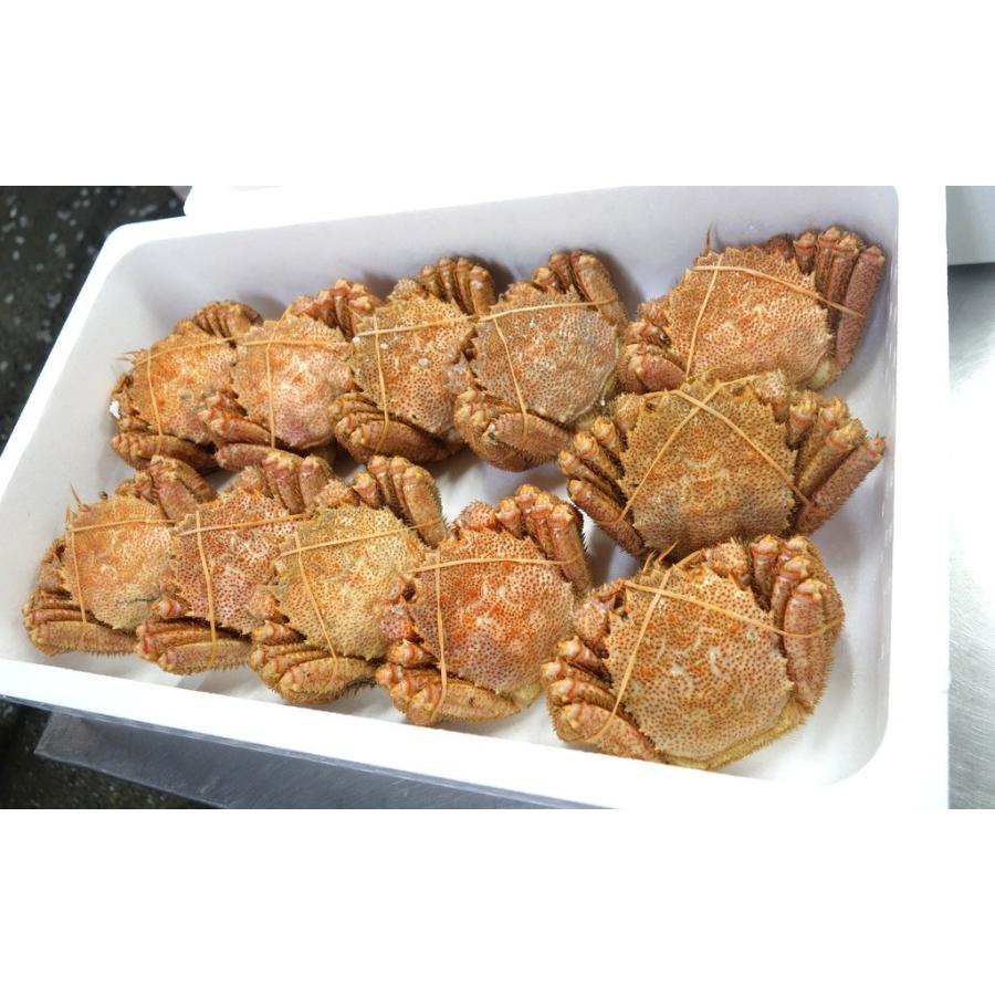 活き毛ガニ 北海道産 カニ 400g前後 毛蟹 毛がに 姿 活茹で選択可 :kani-400g-katsu:毛ガニの寿水産 - 通販 - Yahoo!ショッピング 活き毛ガニ 北海道産 カニ 400g前後 毛蟹 毛がに 姿 活茹で選択可 :kani-400g-katsu:毛ガニの寿水産 - 通販 - Yahoo!ショッピング
