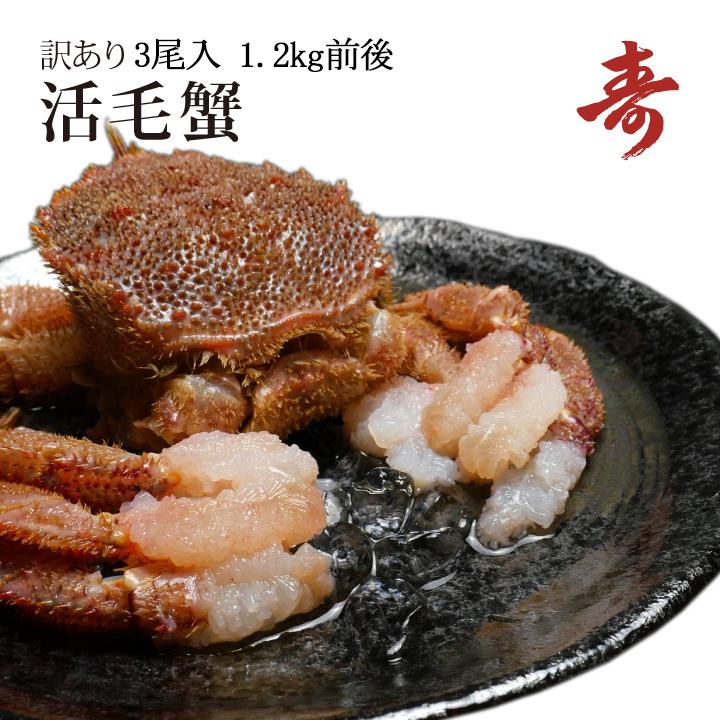 活き毛ガニ 北海道産 蟹 訳あり 400g前後 3尾 毛蟹 毛がに 姿 活茹で選りすぐる可 食品-カニ