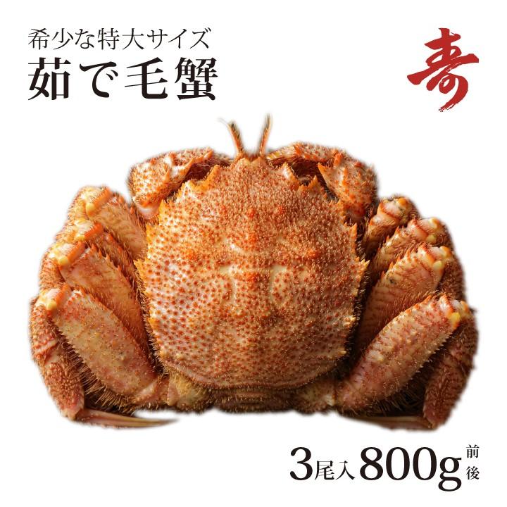 活き毛ガニ 北海道産 カニ 特大 ボイル 800g前後 3尾 毛蟹 毛がに 姿 Www Manica Co Mz