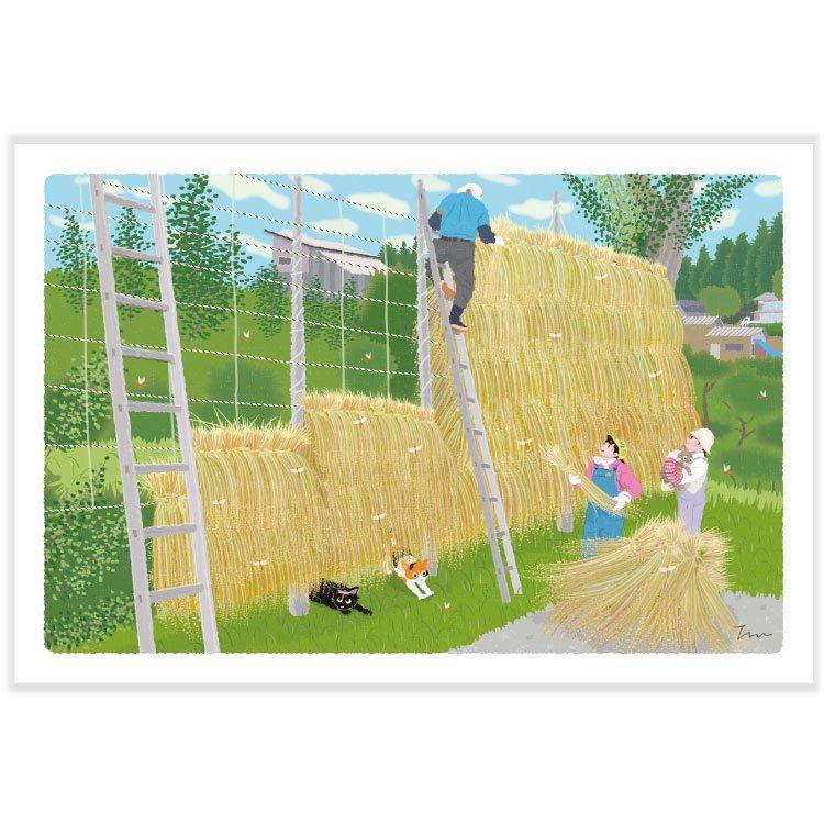 ポストカード 秋・たびねこポストカード PPA-223a 「秋の天下干し