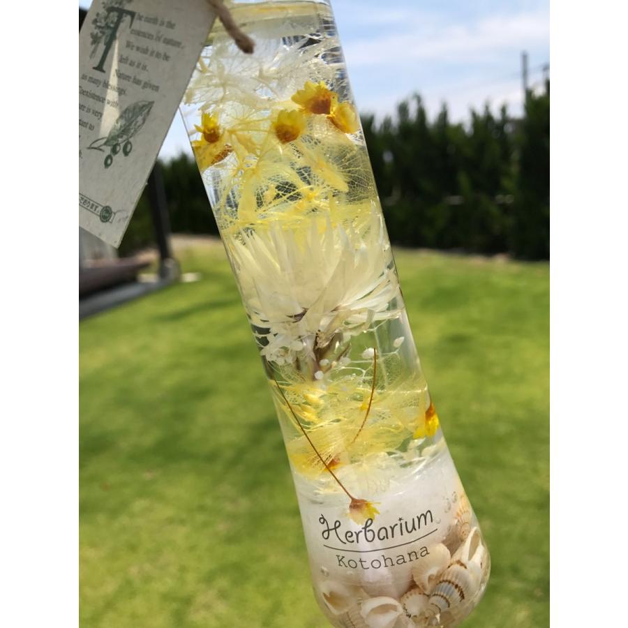 ハーバリウム マリンブルー イエロー ピンク 夏 海 貝殻 healing