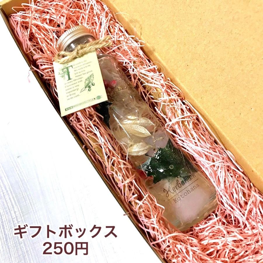 ハーバリウム ヒイラギ healing 「B」hz043 : Kotohana - 通販 - Yahoo