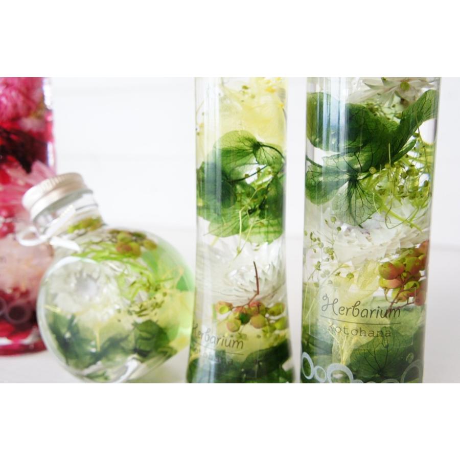 ハーバリウム 瓶 あじさい 3本セット オリジナルデザインボトル ハー