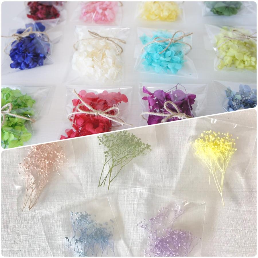 花材 あじさい 小分け 1.5g ＋ かすみ草 セット ハーバリウム 