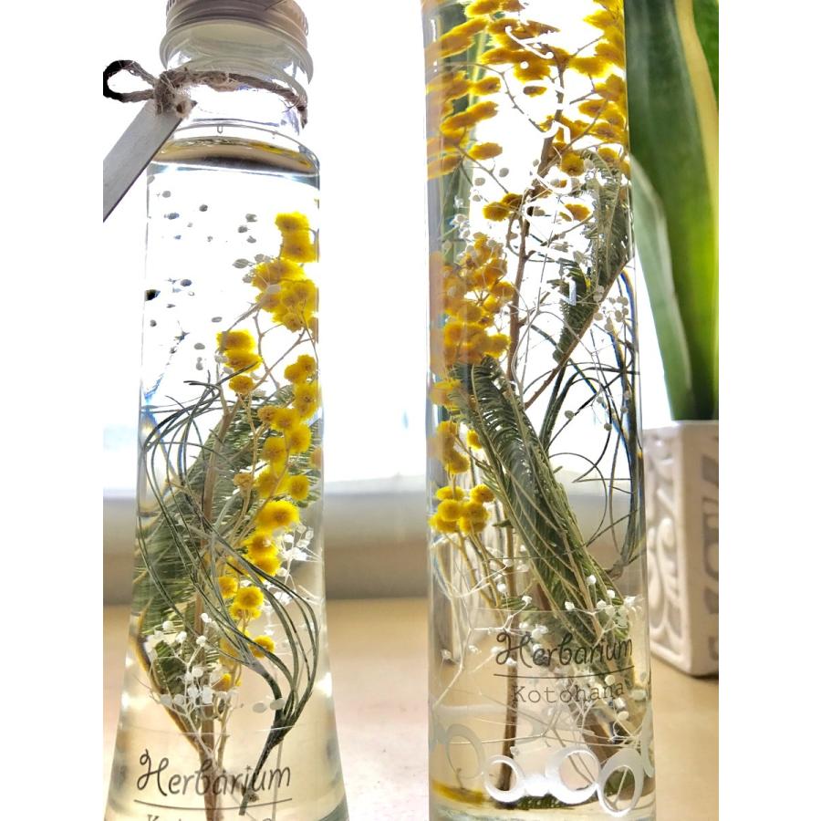 ハーバリウム ミモザ 黄色 イエロー 大 hz050 : herbarium-mimoza1  