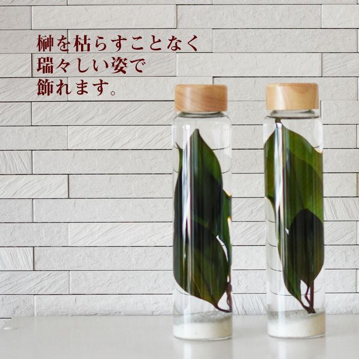 ハーバリウム用品 母の日 ギフト ジュエリー 光る ハーバリウム セット プリザーブド