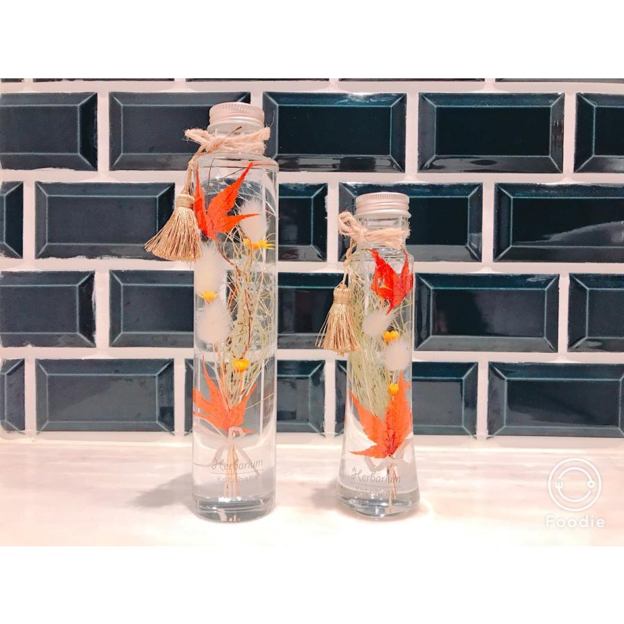 ハーバリウム もみじ healing 大 hz011 : Kotohana - 通販 - Yahoo