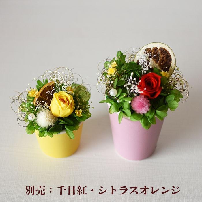 ハーバリウム 花材のみ バラ ビビアン あじさい かすみ草 プリザーブド