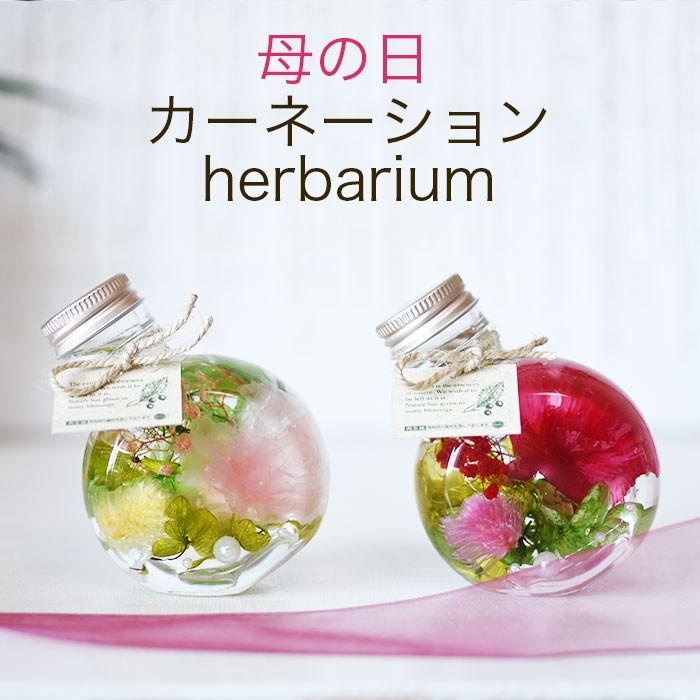 母の日 21 ハーバリウム 丸瓶 カーネーション 千日紅 ハーバリウムフラワー 送料無料 丸瓶 千日紅 完成品 Mothersday2 Kotohana 通販 Yahoo ショッピング